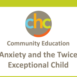 Anxiety-and-the-Twice-Exceptional-Child323