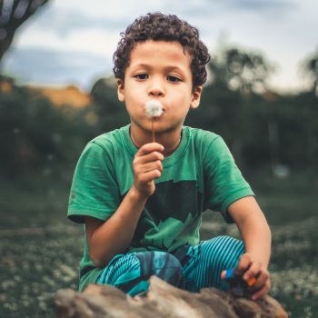 Autism-research-440