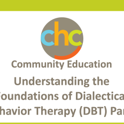 DialecticalBehaviorTherapyPart-I-349