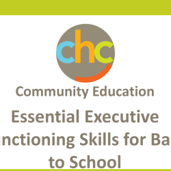 ExecutiveFunctioningMeyers236