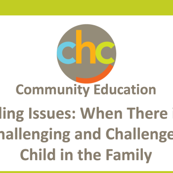 Sibling-Issues-When-There-is-a-Challenging-and-Challenged-Child-in-the-Family-476