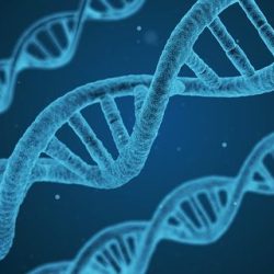 dna151-e1532380914439
