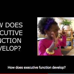 executivefunctionvideostill07