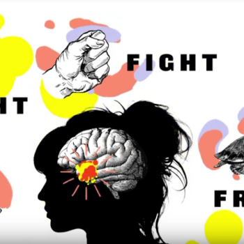 fightflightfreeze551