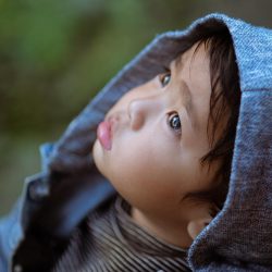 todder-child-boy-gazing-upward-4021